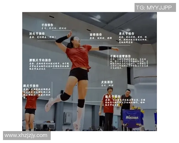 广州排球队比赛经验分享与成长之路探讨 广州排球队比赛经验分享与成长之路探讨