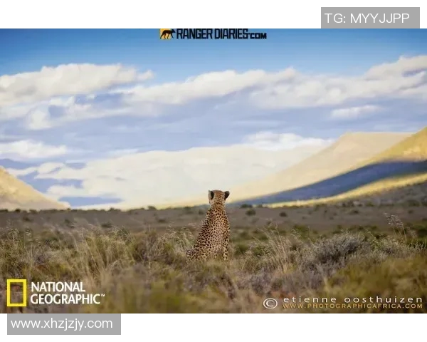 探索阿拉巴的魅力与文化遗产揭示这片土地的历史与未来发展潜力